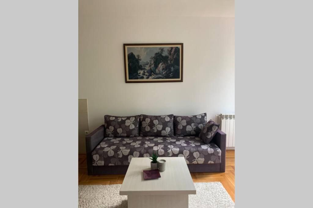 Renovated Cozy Studio 7 At Top Location - Available For Long Term Rentals Нови-Сад Экстерьер фото